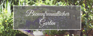 Bienenfreundlicher Garten