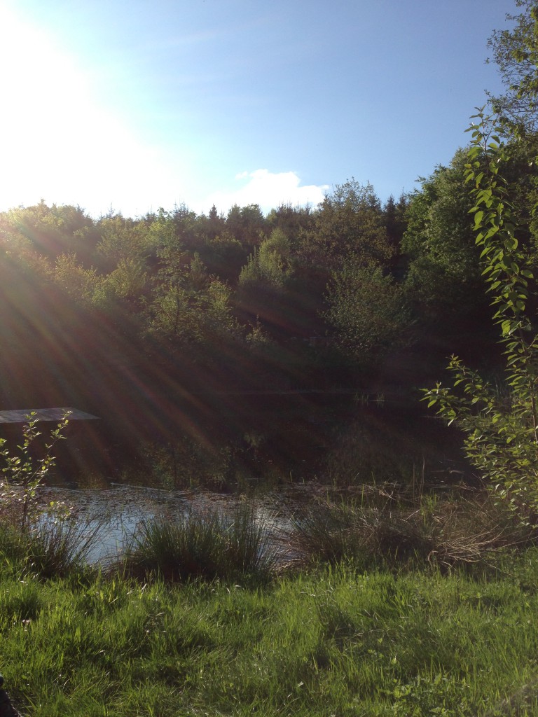 Ein Paradies mitten im Wald