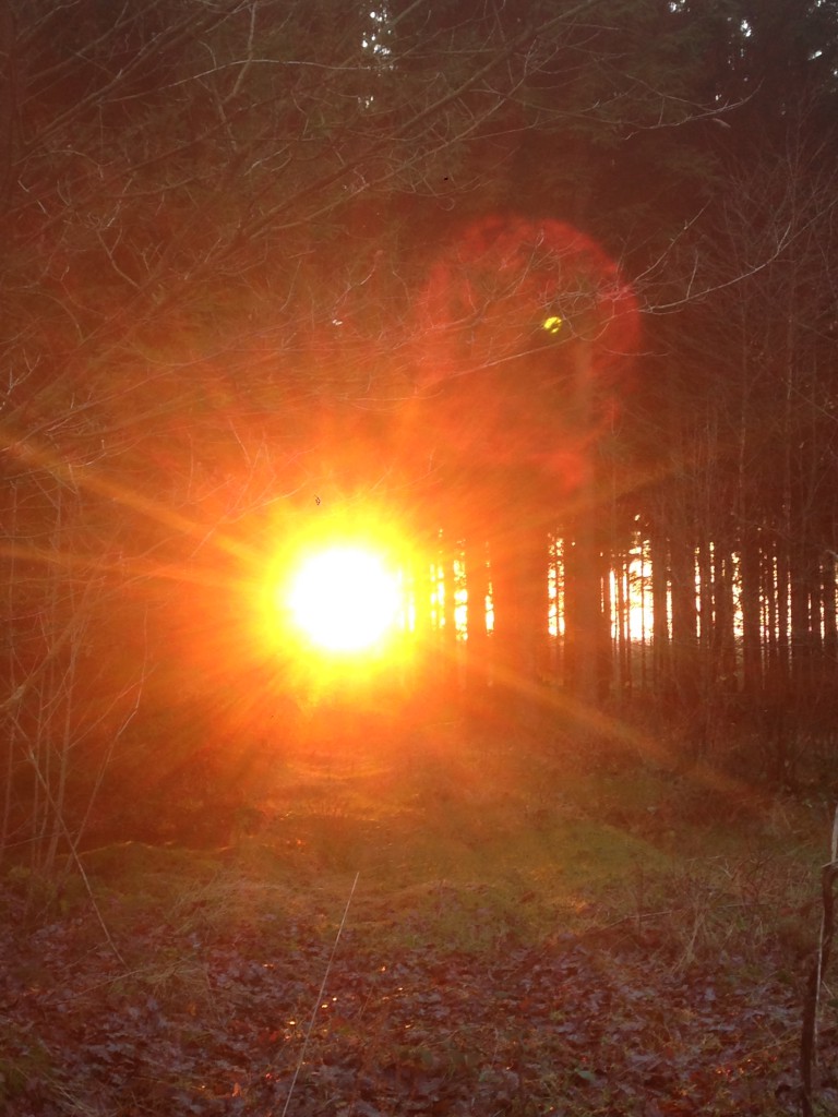 Auch im Winter gibt es wunderschöne Sonnenuntergänge zu bestaunen